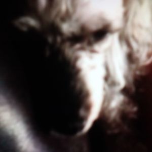 Meet your Posher, Martha